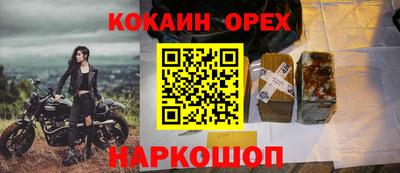 прущие грибы Усть-Илимск
