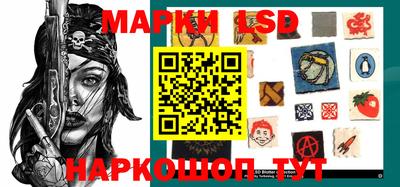 прущие грибы Усть-Илимск