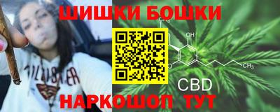 прущие грибы Усть-Илимск