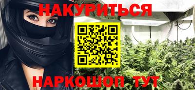 прущие грибы Усть-Илимск