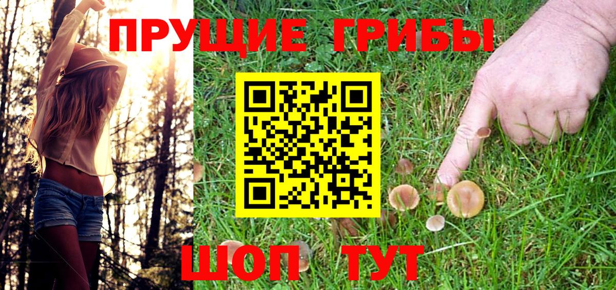 Псилоцибиновые грибы мицелий  Вход с VPN  Сосновый Бор 