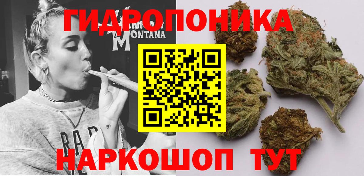 Каннабис гибрид  Конопля Bruce Banner  Каннабис гибрид  Сосновый Бор  Вход с VPN 